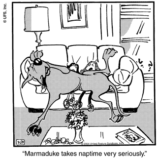 marmaduke